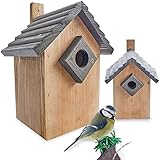 zooprinz Stabiler Nistkasten für Wildvögel/Gartenvögel - mit sicherem Schutz gegen Nesträuber – witterungsbeständig und langlebig für draußen – Nistkasten