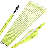 wolfman 30 Zoll Carbonpfeile für Bogenschießen Farbig Spine 500 Pfeile Carbon Zielpfeile Jagdpfeile mit 4 Zoll Federn Pfeile für Recurvebogen Compoundbogen (Fluo Gelb)