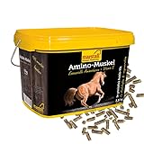 Marstall Amino-Muskel 10kg Eimer