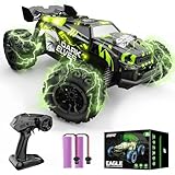 DEERC Ferngesteuertes Auto, 2.4Ghz Leuchtende RC Autos mit 2 wiederaufladbaren Batterien für 40 Minuten Spielzeit, All Terrain Off-Road Monster Truck Spielzeug für Jungen Kinder ab 8 Jahren