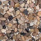 Belle Vous Dekosteine Kieselsteine Natur (3,6kg Sack) Kieselsteine Deko 1,4-2,6cm Mini Sortierte Deko Kieselsteine - Gemischter Flusskies für Vasenfüller, Landschaftsbau, Aquarien, Haus & Garten