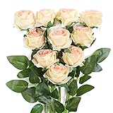 JUSTOYOU 10 Pack Seide Künstliche Rose Blumen Brautstrauss Blumen(Champagner)