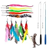 Katzenangel Stabil mit Federn, 1 Set Katzenspielzeug-Stab, Katzenspielzeug Angel mit Federn, Kätzchen Zauberstab Spielzeug mit 2 Versenkbare Katzenangel und 10 Ersatz mit Glocken für Katzen und Katzen