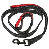 VANZACK Hundeleine mit Metallschnalle und Einstellbares Haustierseil für Kleine und Mittelgroße Ergonomisches Design für Komfortables Training und Outdoor Aktivitäten