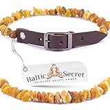 Bernsteinkette Hund | Verstellbares Bernsteinhalsband für Hunde & Katzen mit Lederband | Hundehalsband