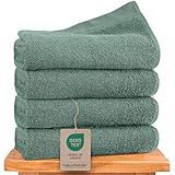 Hausfelder Handtücher 50x100 cm – Premium 500g/m² Handtuch 4er Set - 100% Baumwolle, Ökotex Zertifiziert (50x100cm Hellgrün)