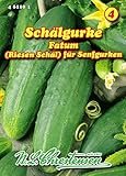 Schälgurke‚ Fatum, (Riesen Schäl) Senfgurken N.L.Chrestensen Samen 461101-B