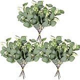 Homcomodar Künstliche Pflanzen Eukalyptus Deko 12Pc Simulation Grüner Eucalyptus Hinterlässt Zweige Silberdollar Eukalyptus Pflanze Bulk für Hochzeit, Garten, Haus, Büro, Indoor Outdoor Dekoration