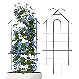 Metall Rankgitter,2 Stück Obstpflanzen-Stützen | 52 cm hohes Weinreben-Rankgitter | Für Innenraum Feier Türrahmen Gartentor Gurken Ranken Rosen