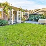 Rasensamen, stauden winterhart mehrjährig ZoysiaSamen, Rasensaat, bodendecker winterhart mehrjährig steingartenpflanzen bio 10000pcs