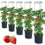 Tymar Tomatentopf, Tomatenkübel, Tomatenpflanze, Tomaten Balkon, mit Rankhilfe Rangitter, mit wasserspeicher (5 Stück, ø 40 cm)