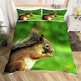 Süßes Eichhörnchen Bettwäsche 200x220 Eichhörnchen 3 Teilig übergröße Bettbezug 200 x 220 cm 3D Bettwäsche-Sets Weiche Bettbezug Set Tiere Bettbezüge Set und 2 Kissenbezüge a.3173