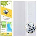Blooven Fenster Fliegenfalle 40 Stück, Giftfreie Fliegen Fallen für die Fliegen, Fruchtfliegen, Stubenfliegen, Transparent Fly Trap (40 Stück)