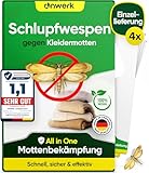 anwerk® Schlupfwespen gegen Kleidermotten - 4 Karten à 1 Lieferungen - Effektiv Kleider Motten bekämpfen - Alternative zur Mottenfalle, Mottenspray, Pheromonfalle