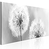 murando Acrylglasbild 135x45 cm 1 Teilig Wandbild auf Acryl Glasbilder Kunstdruck Moderne Acrylglas Platte Wanddekoration Geschenke Heimdekoration Glasbild b-B-0223-k-b