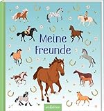 Meine Freunde – Pferde: Das Freundebuch für alle Pferdefans ab 5 Jahren | Mit bunt gestalteten Seiten und vielen Pferde-Fragen