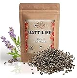 Mönchspfeffer-Tee – Für das weibliche Wohlbefinden