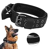 Upgrade Taktisches Hundehalsband Mit Kontrollgriff, Weich Gepolstertes Nylon Hundehalsband Verstellbare Halsband für Mittlere Große Hunde - Reflektierend für das Training