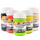 Zite Fishing Forellenteig mit Knoblauch-Aroma 60g – Fängige Forellenpaste Schwimmend als Forellenköder – Trout Bait Teigköder in knalligen UV-Neonfarben mit Glitter (5er Mixbundle)