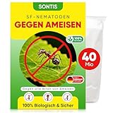 SONTIS - Aktive SF-Nematoden gegen Ameisen – 40 Mio für 80qm - Natürliche Unterstützung bei Ameisen im Garten - mit Nestwirkung – umweltfreundlich, ohne Chemie, einfach anzuwenden