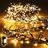 SALCAR 10m 1000er LED Cluster Lichterkette Außen, Weihnachtslichterkette mit 8 Modi und Memory, Wasserdicht Christbaumbeleuchtung für Innen Außen Garten Weihnachtsbaum Hochzeit, Warmweiß