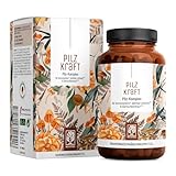 NATURTREU® Pilzkraft 120 Kapseln Pilz Komplex hochdosiert mit Hericium Erinaceus (Lions Mane) Extrakt, Chaga, Reishi Extrakt, Shiitake Extrakt, Beta Glucan, Vitamin B2, B5 & B6