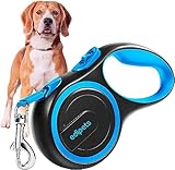 Edipets, Hundeleine, Ausziehbar, Einziehbar, 3, 5 und 8 Meter, Flexibles Band für Rechts- und Spaziergänge, Dog Leash, Rolleine, Flexileine, Retractable (Blau, 8 Meter)