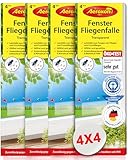 Aeroxon Fliegenfalle Fenster – 4x4 Fliegenfänger Klebestreifen ohne Gift & Geruch, Effektive Fenster Fliegenfalle gegen Fruchtfliegen, Stubenfliegen & Fliegen – Transparent & Langzeitwirkung