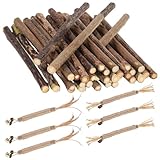 Newofview 26 Stück Katzenminze Sticks, Kausticks für Katzen, Katzen Zahnpflege Spielzeug, Natürliches Material Kausticks Set, Katzen Kauhölzer Sticks für Katzen Zahnpflege