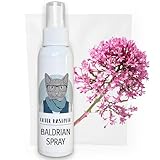 Kater Kasimir XL-Flasche Baldrian Spray für Katzen, 100% natürlich ohne Zusatzstoffe. Baldrian Spray Macht langweiliges Katzenspielzeug interessant für die Selbstbeschäftigung von Katzen