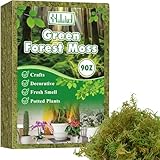 Halatool 260g Moos für Pflanzen ，Orchideen Terrarium -Blumenerde -Innenpflanzen mit Feuchtigkeitsunternehmern organischer Dünger ，Forest Moos, Zimmerpflanzen ，Terrarien, Reptilien & Garten