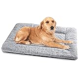 Baodan Hundebett Grosse Hunde, Hundekissen Waschbar für große, mittelgroße Hunde, Dog Bed - 90x60 cm Superweich Katzenbett mit Rutschfester Unterseite - Grau