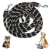 Hundeleine für große und mittelgroße Hunde - Verstellbare Doppelleine aus Nylon mit 2 Karabinerhaken und 3 Ringen - 3m x 15mm - Schwarze