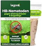 Legona HB-Nematoden gegen Dickmaulrüssler - 100m² / 50 Mio - hochwirksam & biologisch Käfer und Engerlinge des Junikäfer und Gartenlaubkäfer bekämpfen