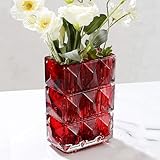 20cm Kristallglas Vase, Verdickte klare Glas Blumenvase, große große quadratische Vase Dekorative Vasen Blumen Moderne Bauernhaus Mittelstück, Home Room Dekor (Rot)