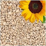 Lyra Pet® | 25 kg Sonnenblumenkerne Geschält Bruch | Wildvogelfutter Ganzjährig | Optimal für Jungtiere | Vogelfutter für Wildvögel | Wertvolles Streufutter | Energiespender für Sommer und Winter