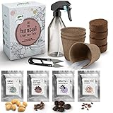 JATISI Bonsai-Starter Kit Bunt – Glücksbaum zum selbst züchten - 4 unterschiedliche Samen – Komplettset für Anfänger – Inkl. Sprühflasche, Schere & Ratgeber – Nachhaltiges Bonsai-Anzuchtset