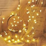 Generisch Sternen- 20 LED Stern - kette Für Wohnheim Baum Feiertag Balkon Zimmer Camping