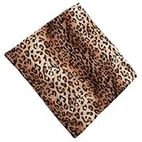 HIAKDOFT 2 Stück Kissenbezüge 45x45cm Leopardenmuster Quadratisch für Esszimmer Leichtgewichtig Sofa Bett Plüsch Dekoration