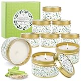 BARAKYEG Citronella Kerzen,9 Stück Duftkerzen im Dose,Zitronengras natürliche Sojawachs für Innen und Draussen Citronella Duft Kerze für Garten,Camping,Picknick,Outdoor Kerzen,gartenparty,Candles Set