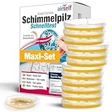 airself Schimmeltest Maxi-Set, 12 Nährböden zur Untersuchung der Schimmelpilzbelastung in Innenräumen