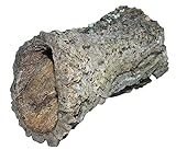 Dehner Terra Terrariendeko, Korkröhre, Größe L, ca. Ø 20-30 cm, Breite 30-55 cm, Naturkork, braun/beige