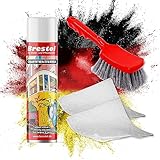 BRESTOL® GRAFFITI ENTFERNER 400 ml Spray SET - inkl. Chemikalienbindevlies & Bürste - Graffitilöser Farbabbeizer Farblöser Farbentferner Lackentferner Lacklöser Lasurlöser Abbeizmittel Abbeizer