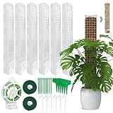 6 Stück Moosstab Rankhilfe,Rankhilfe Zimmerpflanzen,Rankhilfe Monstera,Rankstab monstera,Mit 6 Erdspieße,2 Klettbändern, 30m Garten Drehbinder,10 Pflanzenetiketten und 10 Kabelbinder.