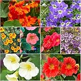 kapuzinerkresse winterhart - dachbegrünung gartensamen topfpflanzen kapuzinerkresse rankpflanzen dekopflanzen kletterpflanzen winterhart 180samen