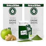 Hansegrün - 2x Bio Grüne Darm Shots (100 Stk.) - Superfood-Pulver mit Gerstengras - Vegane Greens für die Darm-Gesundheit¹ - mit Chlorella & Brennessel - 100% echte Zutaten zur täglichen Zubereitung