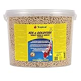 KOI&Goldfish Wheat Germ&Garlic Sticks 11L / 900g - Teichfischfutter für die tägliche Fütterung von Koi in einem Breiten Temperaturbereich von 8 bis 30°C
