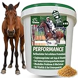 Sojaschrot Pferd - Aufbaufutter Pferd mit Vitamin E Aminosäuren B-Vitamine 6Kg Zusatzfutter Muskelaufbau Soja Protein Pulver für Gewichtszunahme I Weight Gainer Zunehmen bei Untergewicht