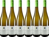 Gut von Beiden Souvignier Gris 2024 Trocken Bioland Bio (6 x 0.75 l)
