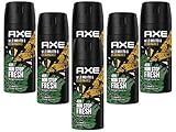 Deo Axe Wild 6 x 150ml Deospray Deodorant Bodyspray ohne Aluminium